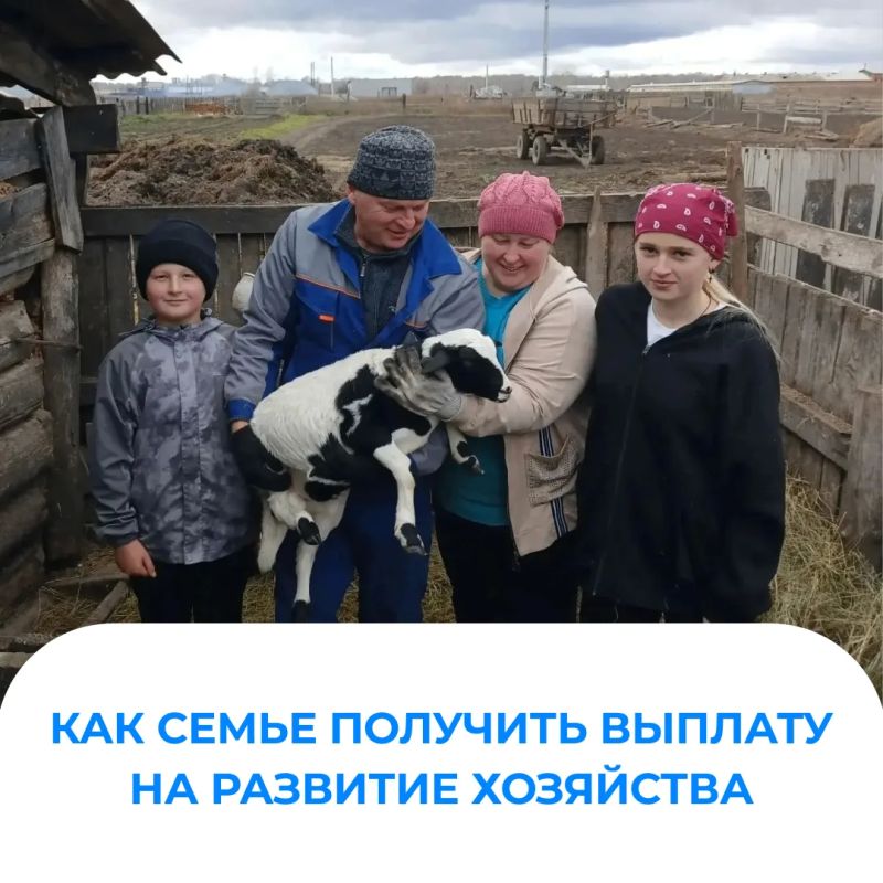Многодетные семья края могут получить до 70 тысяч рублей на развитие личного подсобного хозяйства