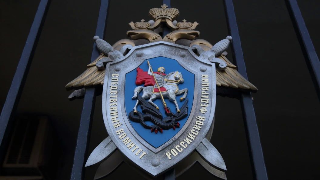 В Красноярске завершено расследование уголовного дела в отношении несовершеннолетней, обвиняемой в неправомерном обороте средств платежей