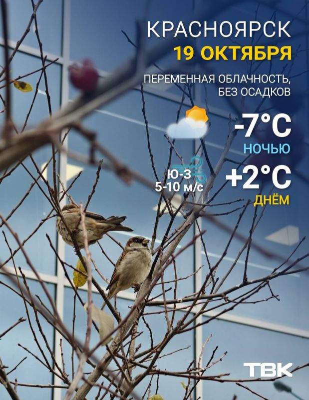 Погода на сегодня. ТВК в MAX | Telegram | ВК | Буст