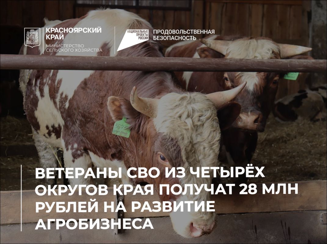 Ветераны СВО из четырёх округов края получат 28 млн рублей на развитие агробизнеса