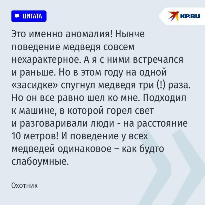 Медведь с голодухи поймал и сожрал рысь: одуревшие от бескормицы хищники творят в тайге беспредел Медведь с голодухи поймал и сожрал рысь: одуревшие от бескормицы хищники творят в тайге беспредел