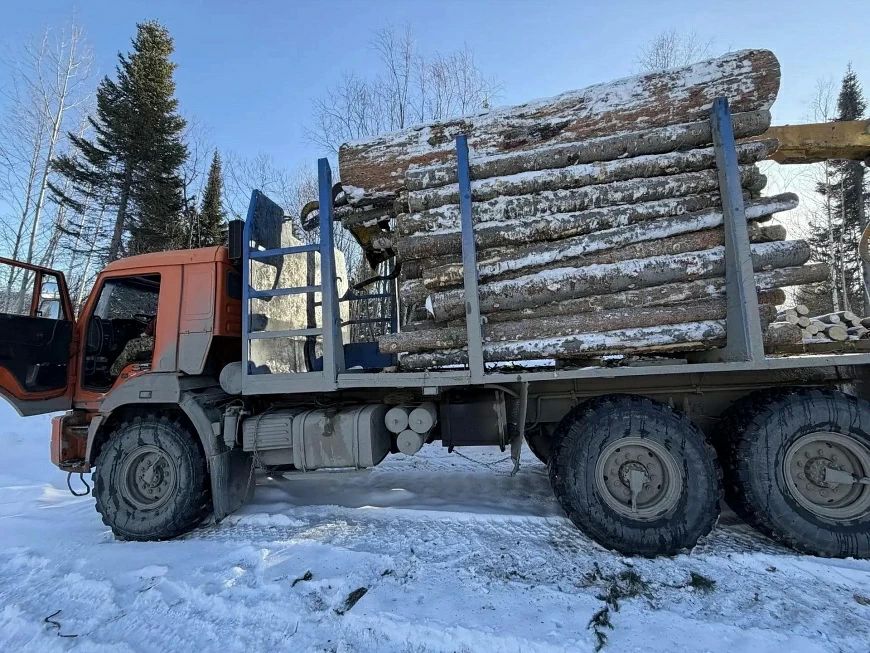 В Красноярске «чёрным» лесорубам вынесен приговор: двое участников отправятся в исправительное учреждение — на 2,2 и на 2,8 года соответственно, остальным назначили принудительные работы на 1,5—2,5 года