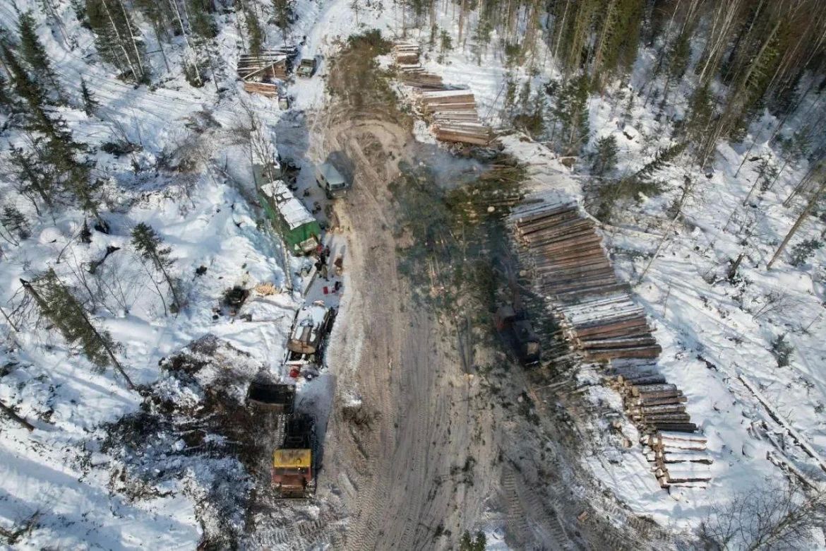 В Красноярске «чёрным» лесорубам вынесен приговор: двое участников отправятся в исправительное учреждение — на 2,2 и на 2,8 года соответственно, остальным назначили принудительные работы на 1,5—2,5 года В Красноярске «чёрным» лесорубам вынесен приговор: двое участников отправятся в исправительное учреждение — на 2,2 и на 2,8 года соответственно, остальным назначили принудительные работы на 1,5—2,5 года