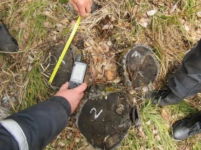 Вместо леса для строительства и отопления — по 5–20 тыс Вместо леса для строительства и отопления — по 5–20 тыс