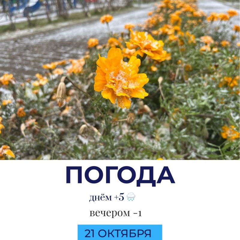 Погода сегодня. @gornovosti «Горновости» в ВК | «Горновости» в МАХ
