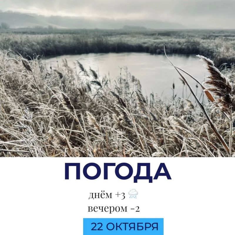 Погода сегодня