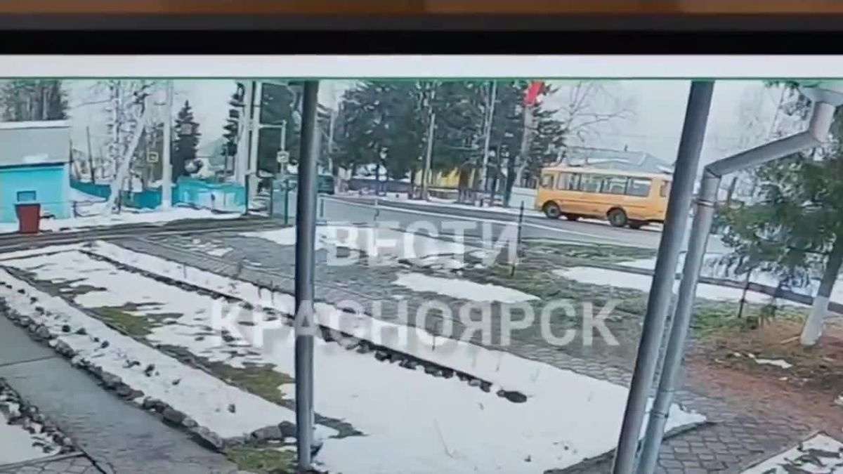 Медведь забежал в посёлок Кошурниково