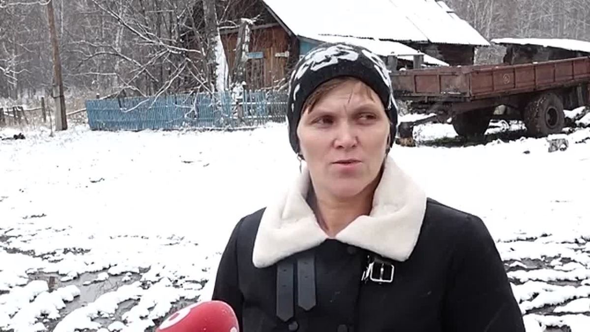 ТЕЛЯТ ЗАСТРЕЛИЛИ, А ЗАТЕМ ИНСЦЕНИРОВАЛИ НАПАДЕНИЕ ЗВЕРЕЙ?