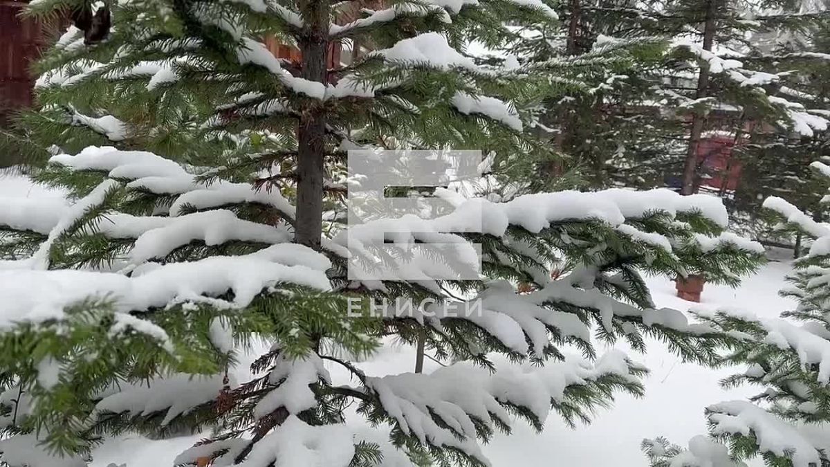 Красноярск и его окрестности засыпало снегом