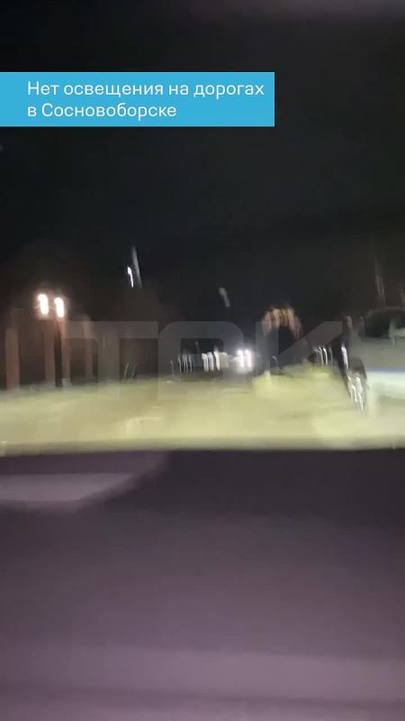 «Дети ходят в школу под чутким присмотром медведя»
