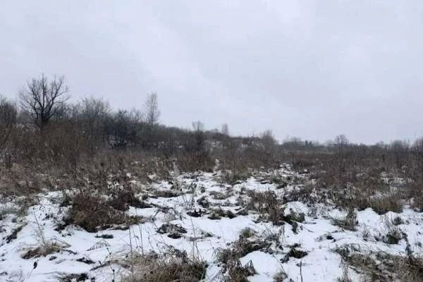 В Красноярском крае устанавливают причину гибели несовершеннолетней девушки