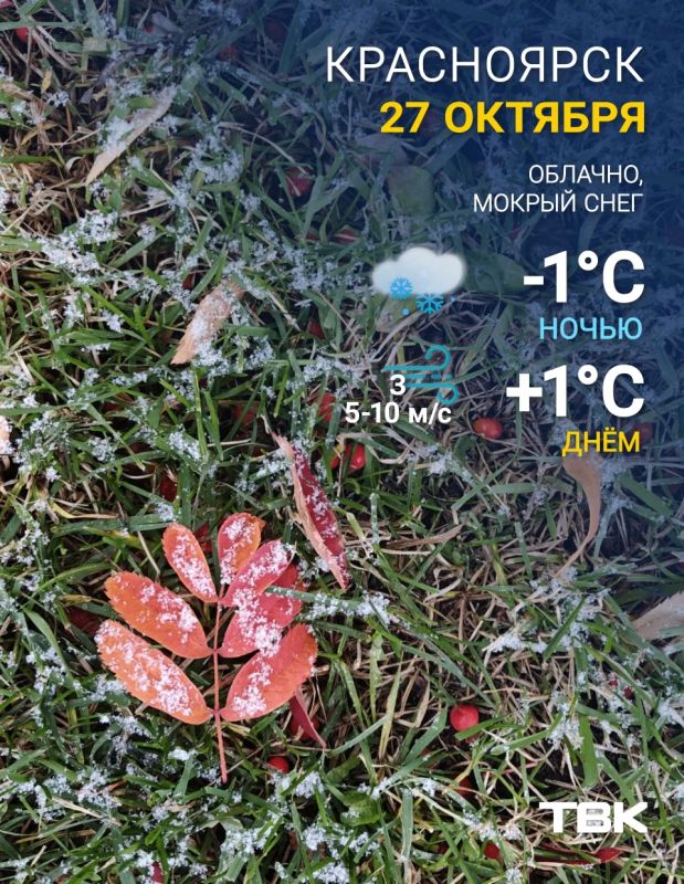 Погода на сегодня