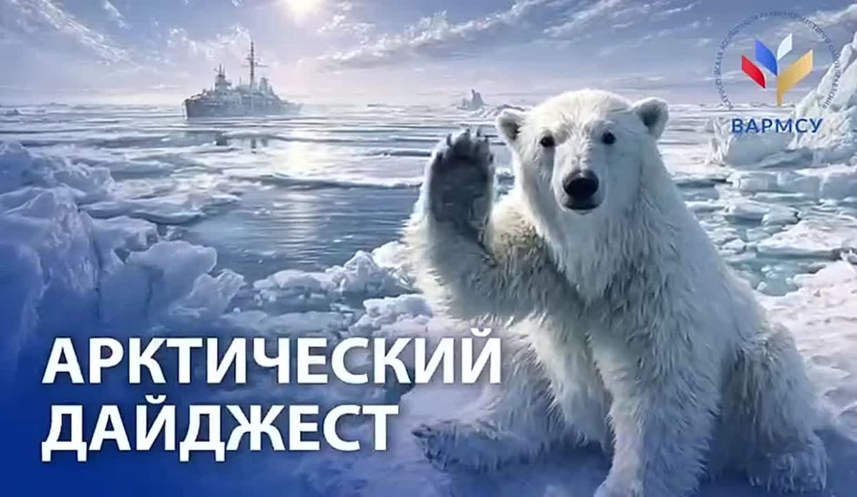 В бухте Ефремова на Таймыре (Красноярский край) построят новый аэропорт