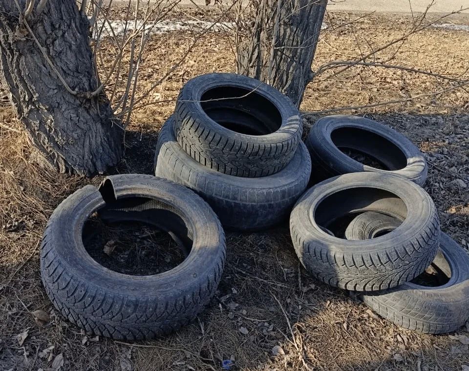 Красноярцев приглашают сдать шины на переработку