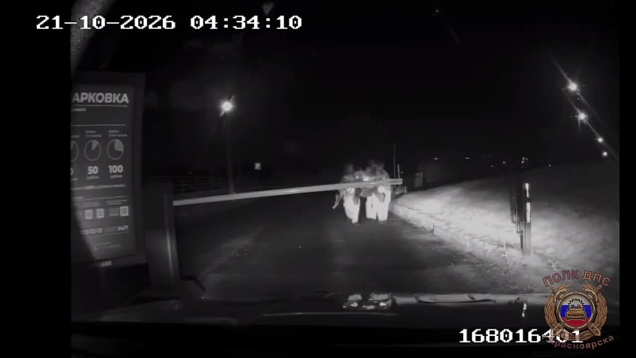 В Красноярске пьяный водитель-бесправник получил травмы, упав в обрыв в попытках скрыться от инспекторов ДПС