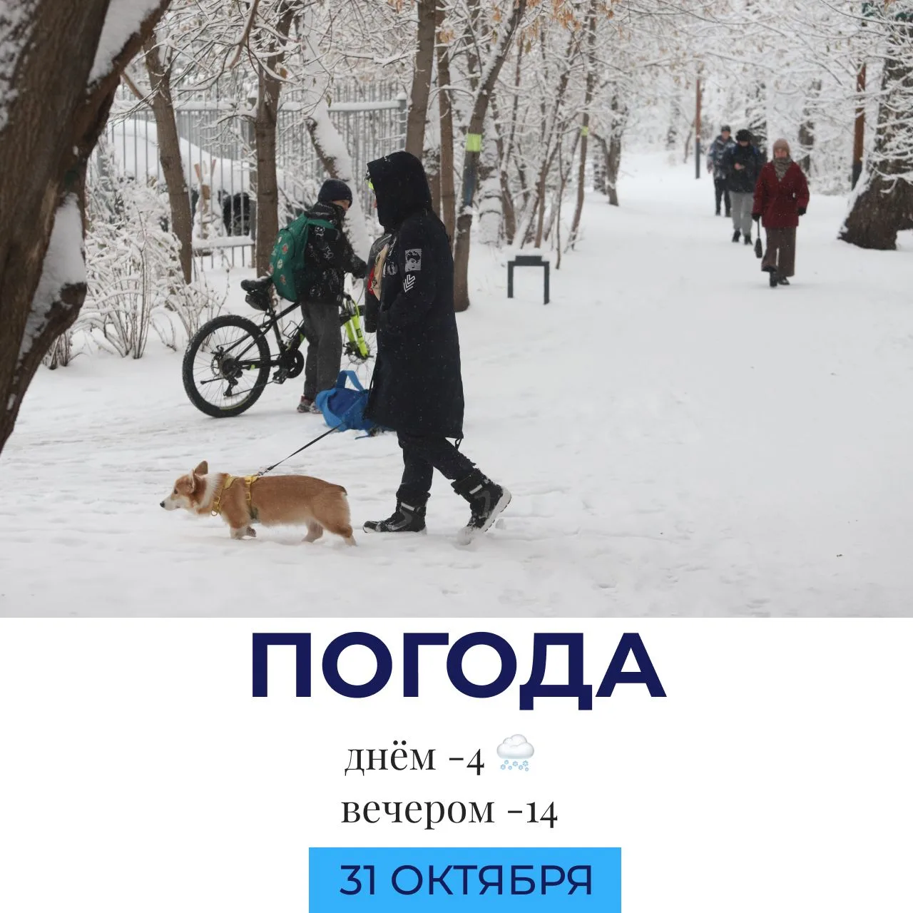 Погода сегодня