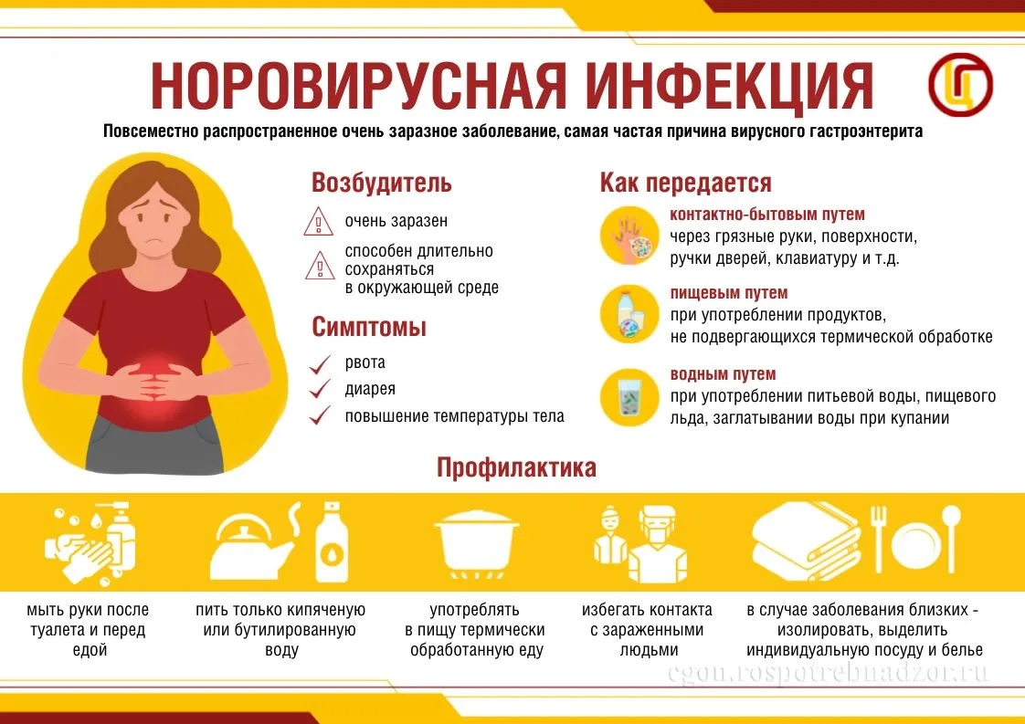 НОРОВИРУС: главное. Заболеваемость имеет осенне-зимне-весеннюю сезонность и поражает все возрастные группы людей