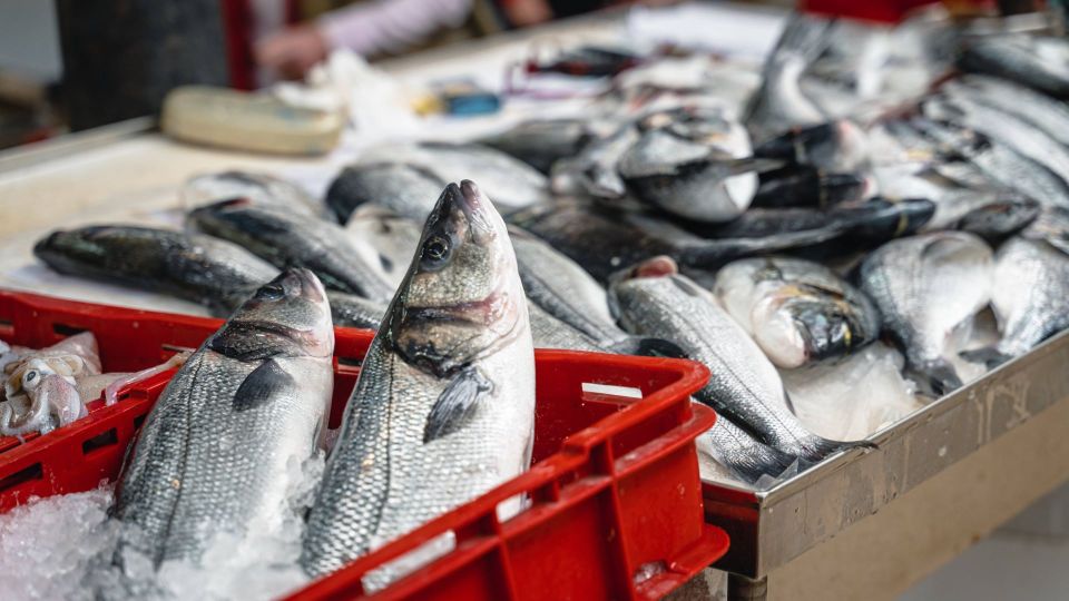 ������������ ��� �����: ���������, ����� ���� �� ����� ���� ���������� � �������