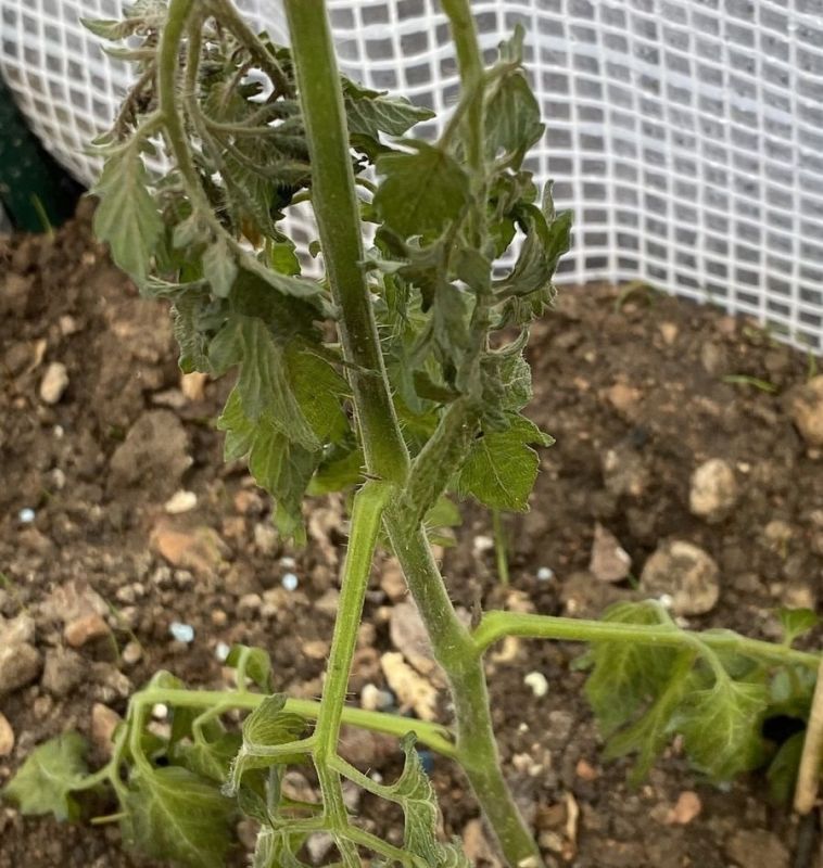 ��� ������ ������ �� ������ ����������: ������ � ������������