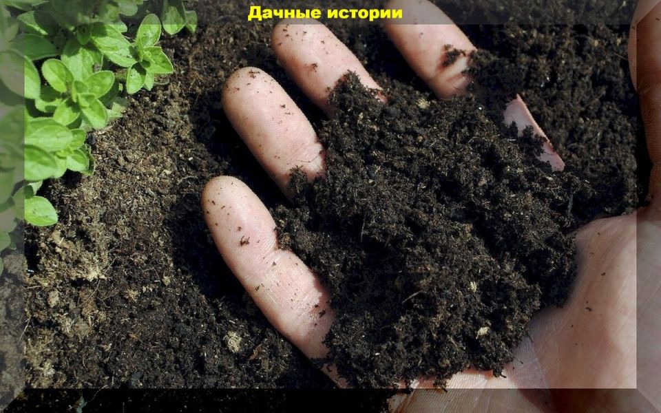 Секреты осеннего удобрения: как подготовить почву для лучшего урожая
