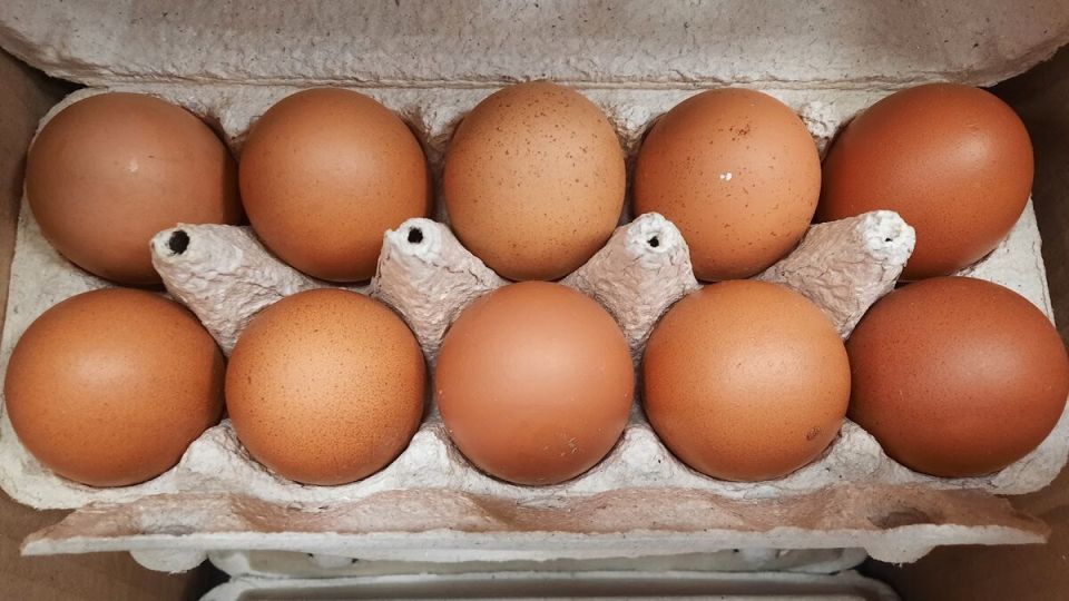 Почему крупные яйца не всегда лучший выбор: откровение о куриных яйцах
