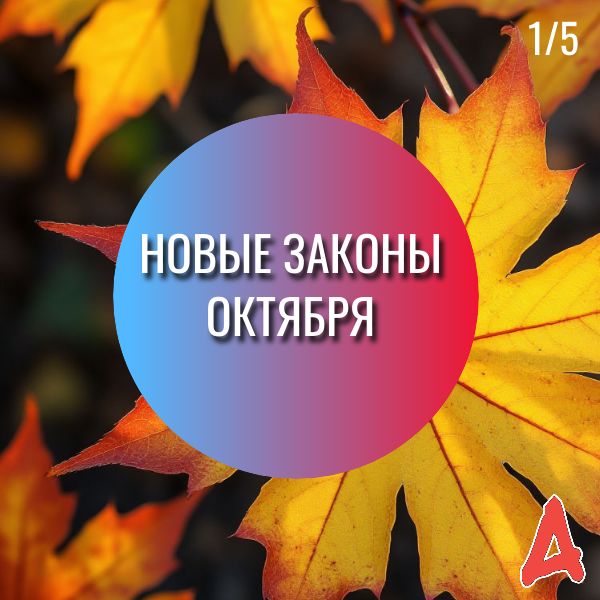 Что нового в октябре: важные законодательные изменения, которые нельзя пропустить
