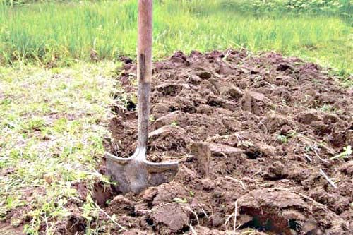 Осенние заботы: Перекапываем землю для будущих урожая