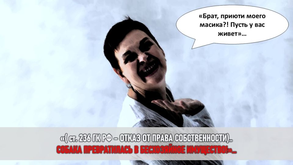 Собачья драма в семье: как золовка бросила собаку и завела родственников в безвыходное положение
