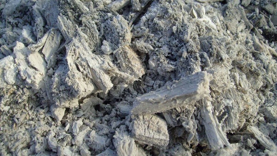 Почему зола – незаменимый помощник в садоводстве