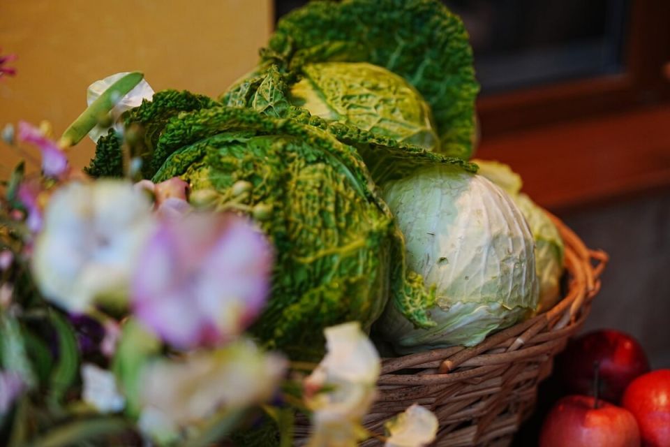 Как правильно выбрать средства для обработки растений: полезные советы