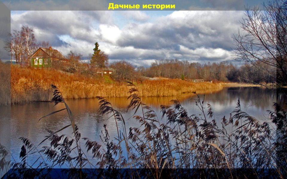 Не упустите осенние заботы: что нужно сделать на даче в ноябре