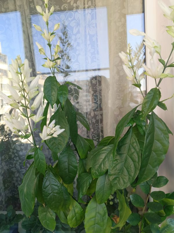 Как обойти риски и не потратить целое состояние на медицину в Беларуси: опыт путешественника