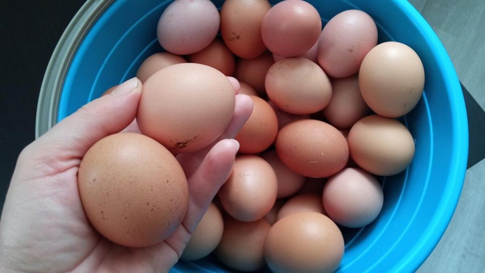 Почему деревенские жители предпочитают магазинное мясо фермерским продуктам?