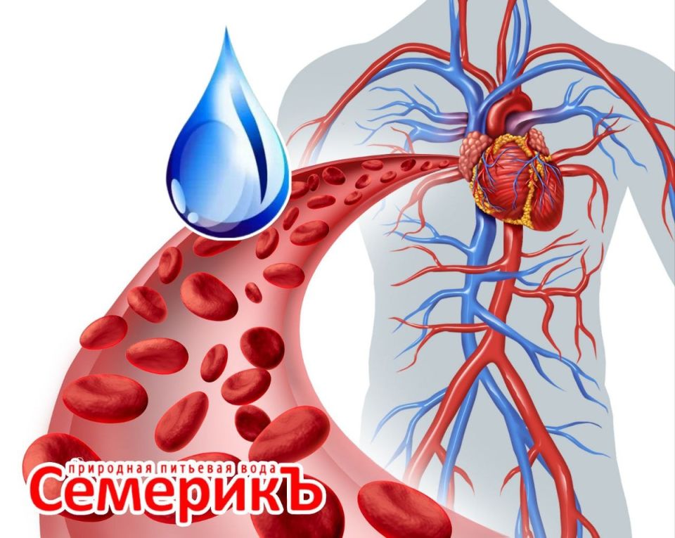 Как простая вода может укрепить ваше сердце: новое понимание важности гидратации