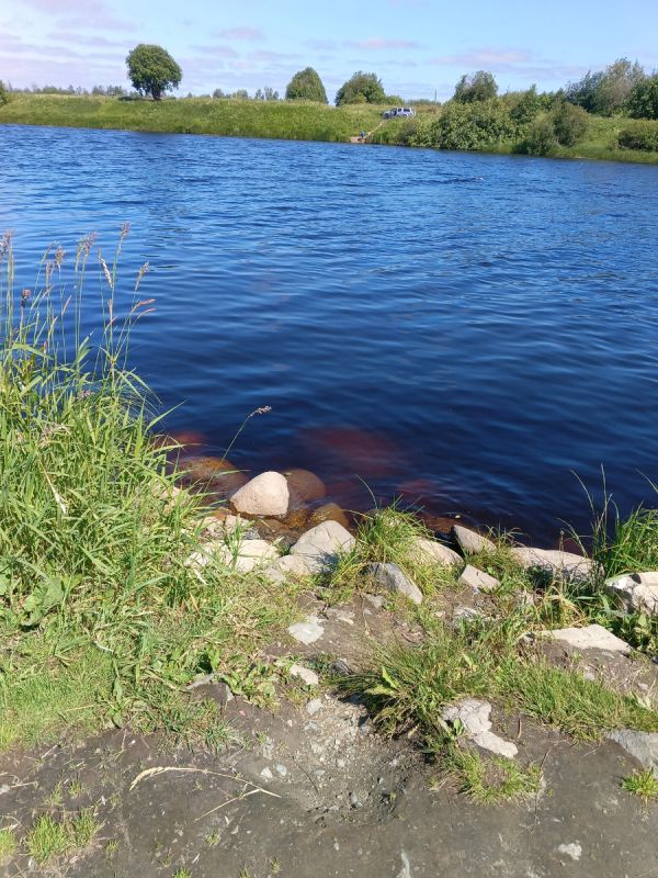 ������� ������: ��� 90-� ���� ������������ ������������ �������� � ������������� ����������� ������