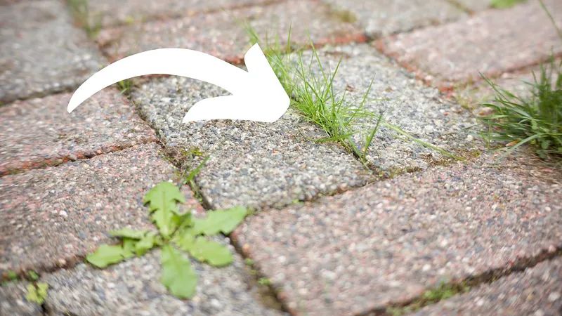 ����������� ������� ������ � ��������� �� ����� �������