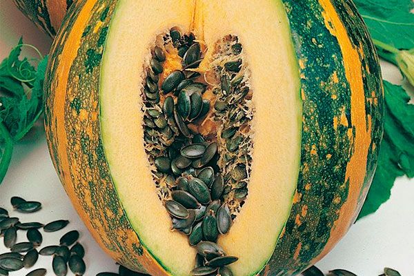 ���������� �����: ���������� ���� ������� � ������������� �������������