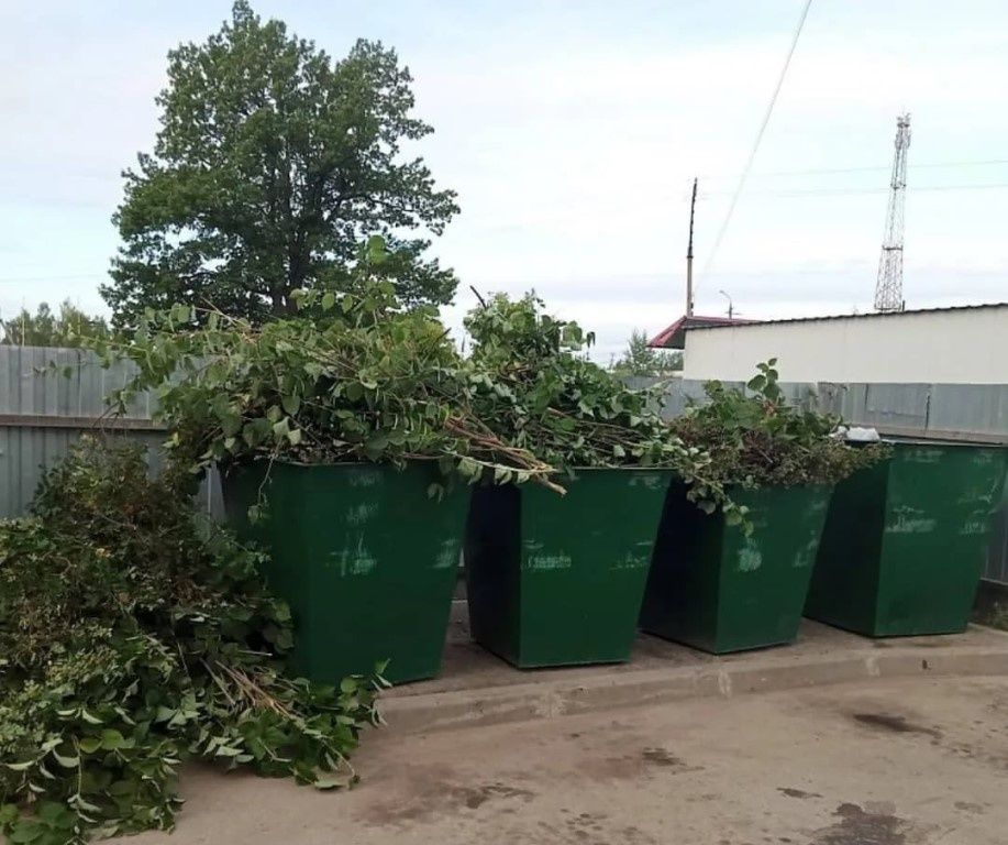 ������������ ������: �� ������� �� ������������ ����������