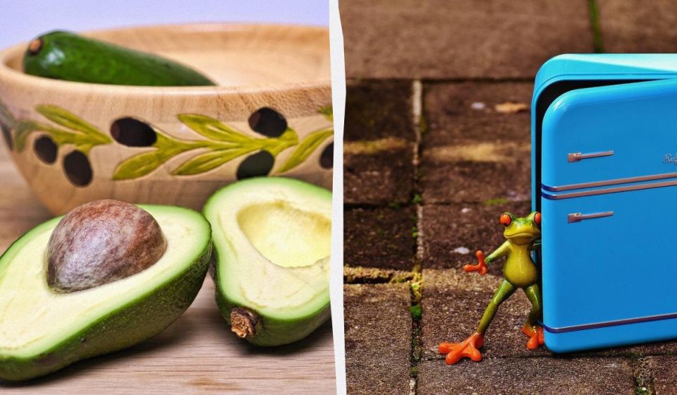 ��� ��������� ������� ������: ������ ���������