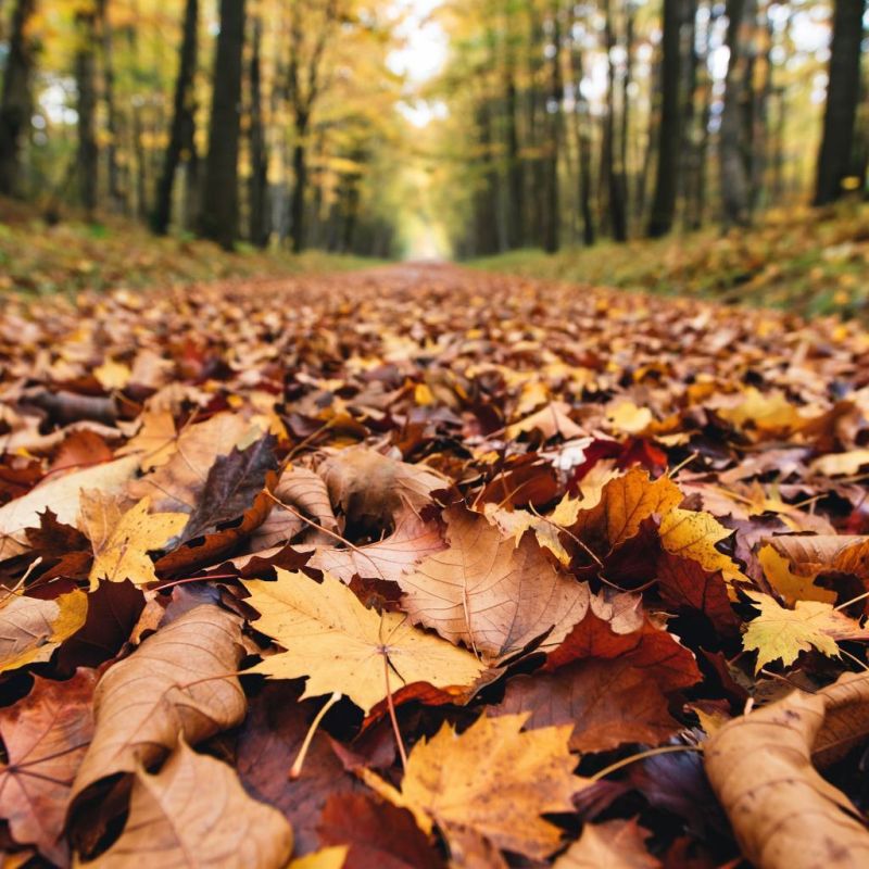 ��� ������� ������ ���������� ��������� ����������: ������� �������� �����