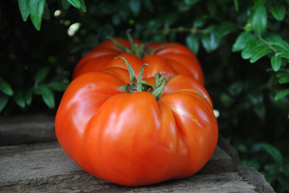 ������, ������� ������� ���� ������: �������� ����� � ������� ������