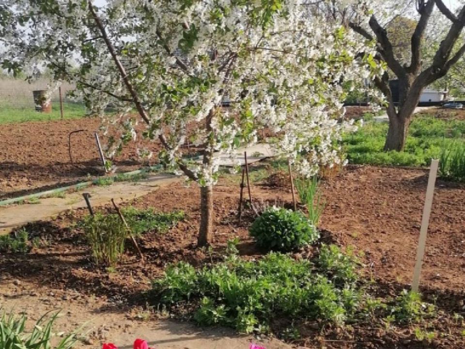 ������ ��������: ������� � �������� ��������� ����������