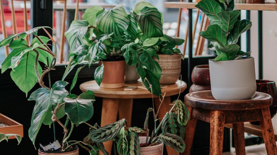 ������� �� ����������� ����� �� ��������� �������: ���������� � �������