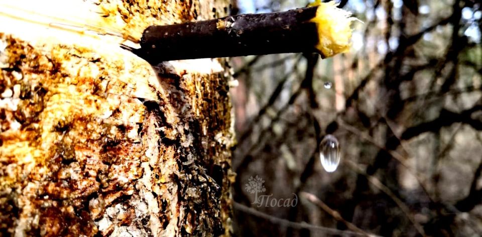 ����� �������� �� ������ ��������, �� � ���������