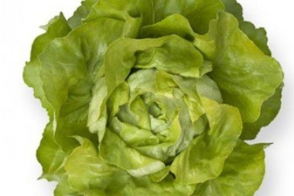 ����� �������: ������� ��������� ����������� � ������������� ���������� �����������