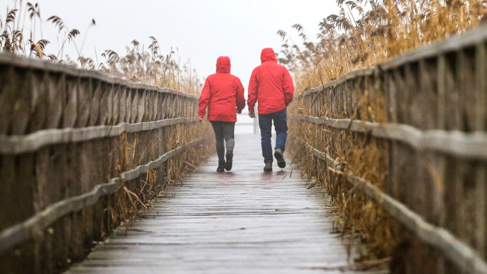 ����������� ������� ����������� ��������: ��� ������������� ������ �� ����� �� ���������� � ����