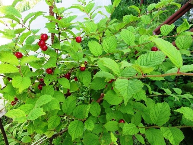 ����� ���������: ��������� ���� � �������� �������������