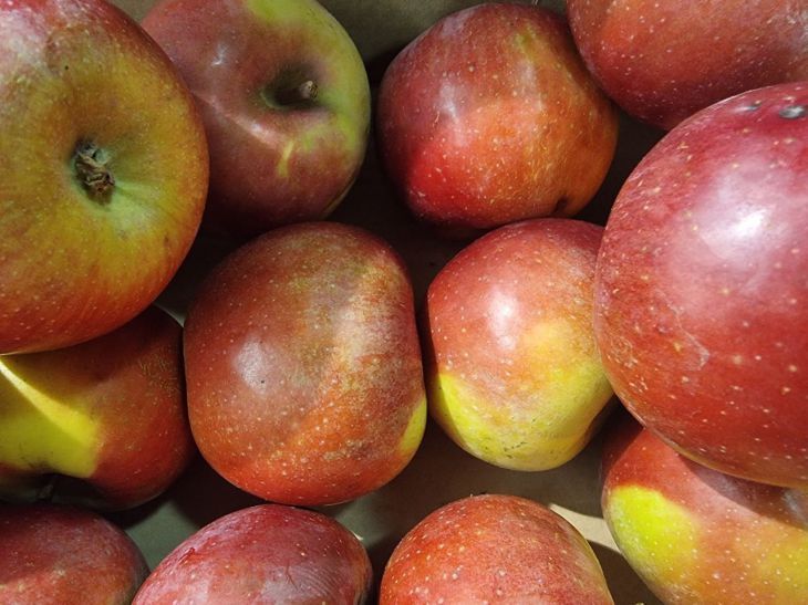 ����� �������� ��������� ������ ������ �������: ��� ������� ���� ���� ��������, ���� �� ����������� ����