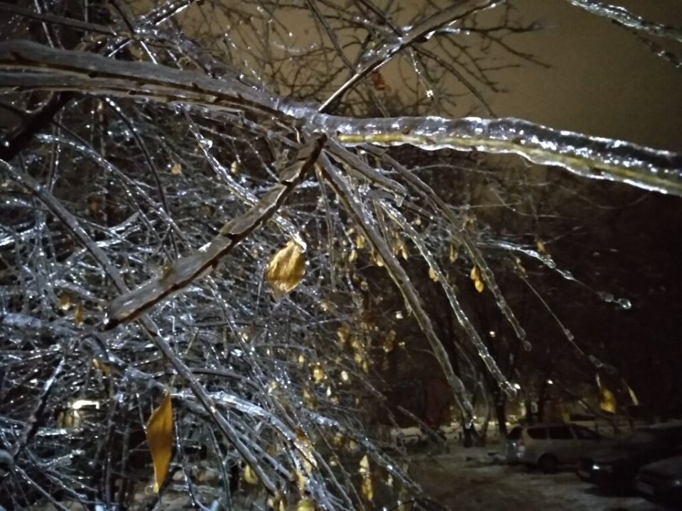 ������� �����: ��� ������ ��� �� ����������� ������ ��������