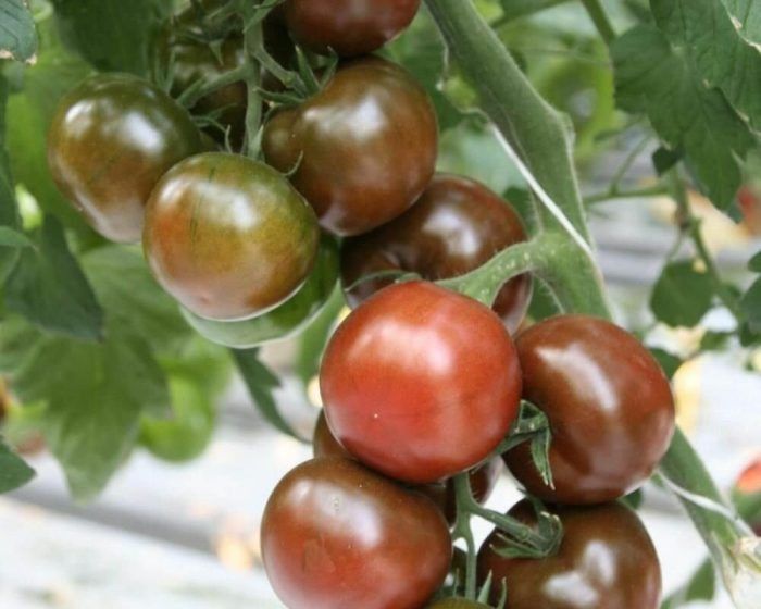 ����� ������: ��� ����� ����� � ����� ������������ �����